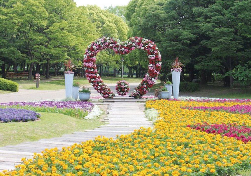 大阪市立長居植物園 カード乗車券提示で無料で利用できる施設 大阪周遊パス